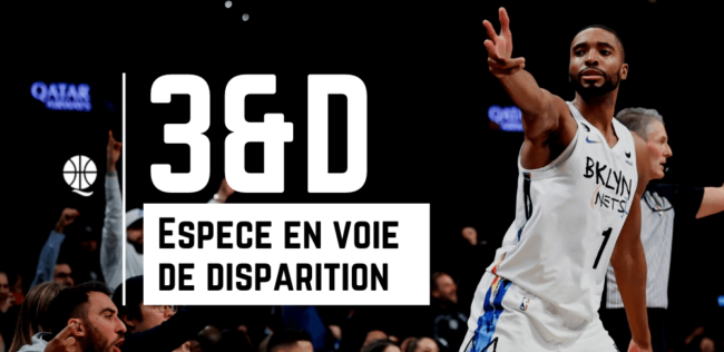 3&D basketball 3&D NBA