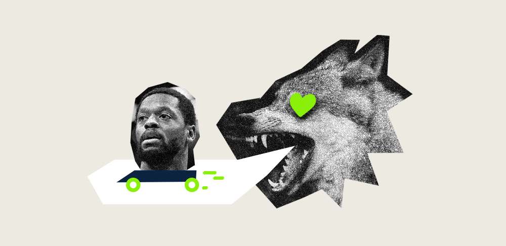 Julius Randle Timberwolves Minnesota